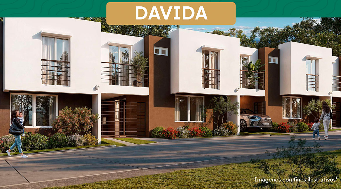davida