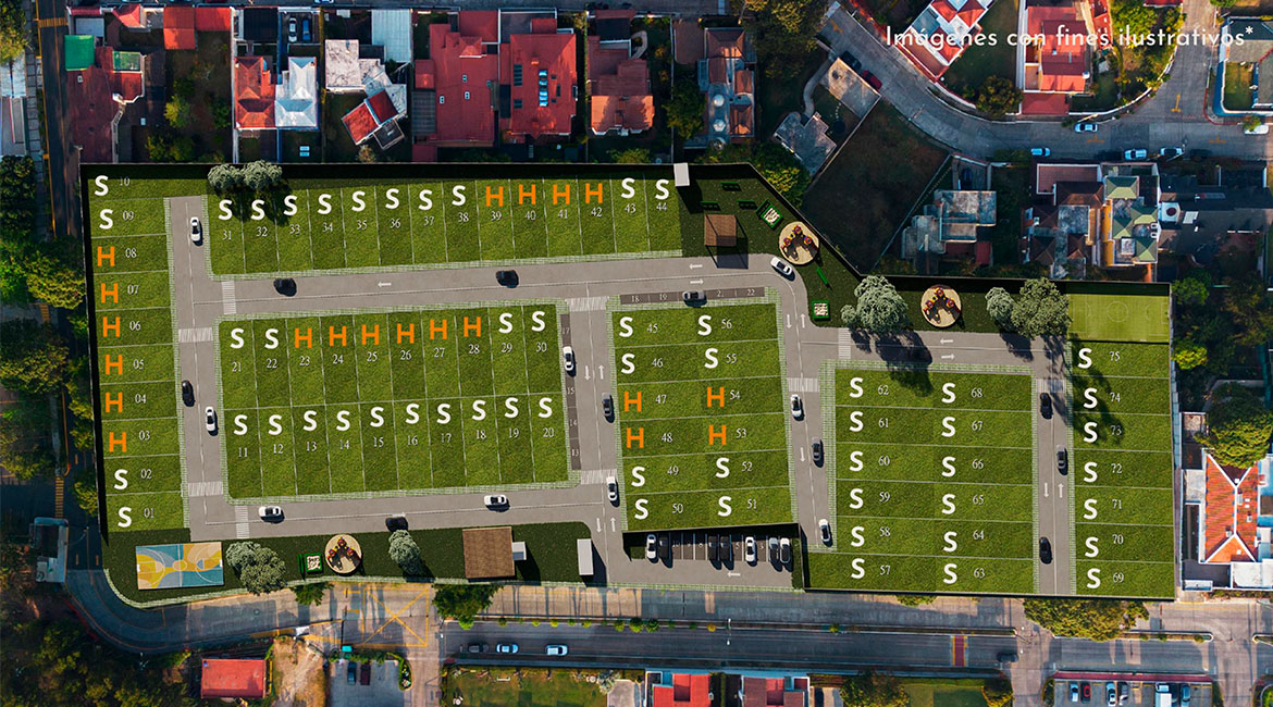 eucaliptos-de-pinabetes-4